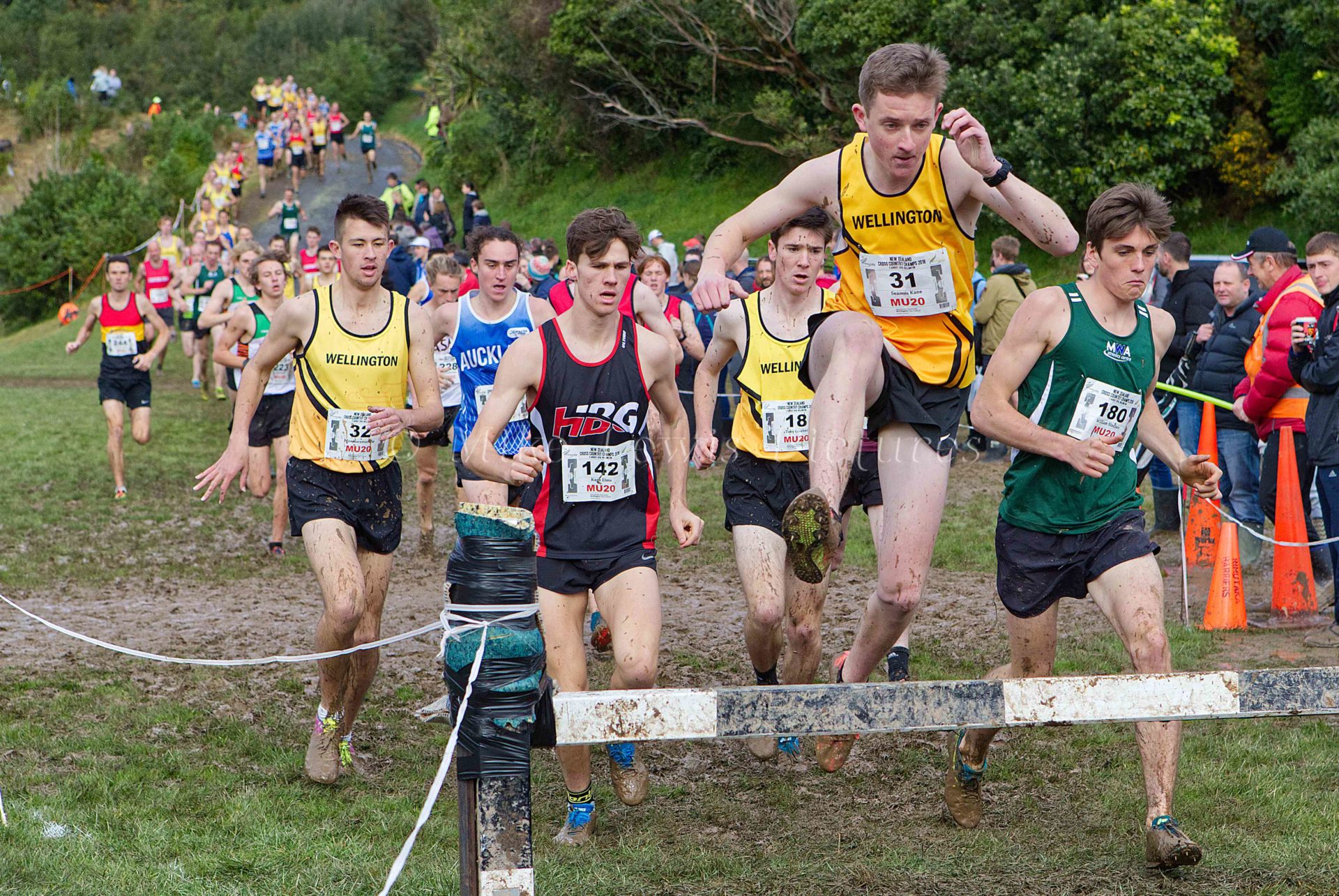 National College Cross Country Championships